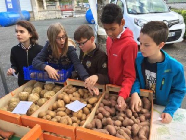 les enfants font le marché
Bien manger, dormir, bouger
Bien dans leur assiette
Une journée de sensibilisation au bien-manger, bouger et dormir, baptisée « Du champ à l’assiette », a été organisée à la fin du mois de mars à l’école Jules-Ferry de Le Blanc, au cœur du Parc naturel régional de la Brenne, dans l’Indre, par la MSA Berry-Touraine, avec l’aval de l’Éducation nationale. Pour l’occasion, un village santé a été dressé dans la cour de l’école. Nous y étions.
