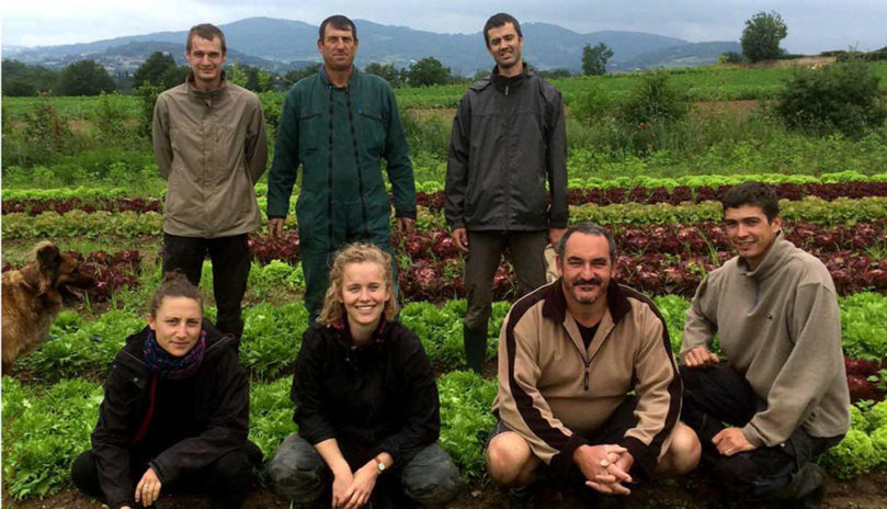 « La rosée du matin », ferme maraîchère installée à Saint-Laurent- d’Agny, petite commune du Rhône située à trente minutes de Lyon, Pierre Barnéoud et Cédric Marchand cultivent des légumes bio. Economie. Solidarité. Les MSA Auvergne et Ain-Rhône accompagnent les agriculteurs, en intégrant les dimensions humaines et de santé et sécurité en amont de la conception des projets d’investissement agricole.