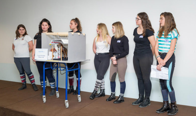 Les élèves du lycée privé Sainte-Maure présentent leur projet à l’aide d’une maquette représentant une salle de pansage.