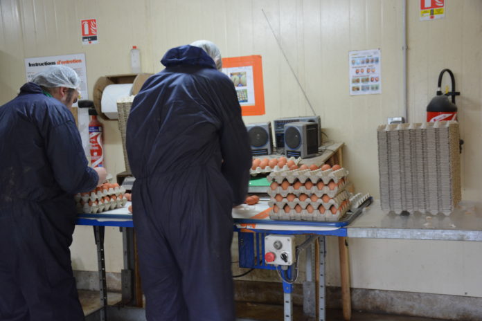 Enracinée dans la terre bretonne depuis 35 ans, la ferme des Hardys-Béhélec fait pousser des légumes bio et de la fierté dans l’esprit de personnes en situation de handicap psychique. Visite. #Esat #HandicapPsychique #Solidel