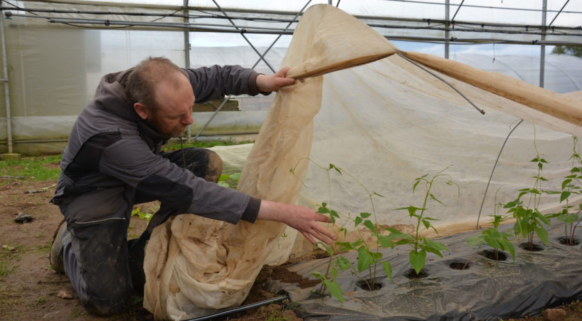 Enracinée dans la terre bretonne depuis 35 ans, la ferme des Hardys-Béhélec fait pousser des légumes bio et de la fierté dans l’esprit de personnes en situation de handicap psychique. Visite. #Esat #HandicapPsychique #Solidel