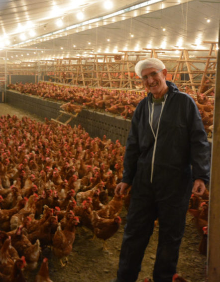 Enracinée dans la terre bretonne depuis 35 ans, la ferme des Hardys-Béhélec fait pousser des légumes bio et de la fierté dans l’esprit de personnes en situation de handicap psychique. Visite. #Esat #HandicapPsychique #Solidel