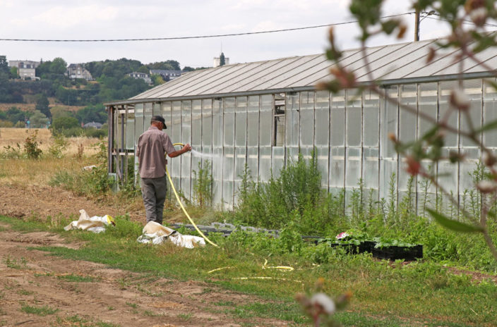 Le chef des cultures, Antoine, travaille au jardin depuis 10 ans. Maraîcher depuis plus de 30 ans, il transmet son savoir aux salariés en insertion tout en continuant de développer ses propres connaissance à travers les évolutions du métier et du bio.