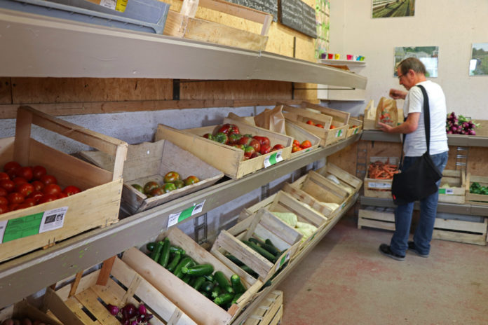 À l'entrée du jardin, le pôle de vente en directe emploie quatre personnes en insertion en quasi autonomie. Avec le marché bio, le jardin compte 220 clients par semaine en moyenne.