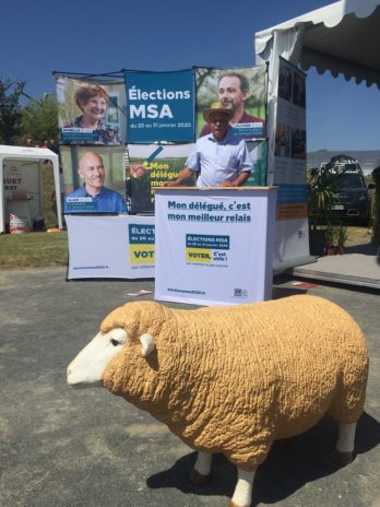 Du muscle, de la sueur et des bouclettes. Le Dorat, petite commune de Haute-Vienne, est devenue pendant 4 jours la capitale mondiale du mouton en accueillant pour la première fois en France le championnat mondial de la tonte. World sheep shearing and woolhandling championship.