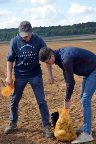 Le lycée agricole Le Robillard a la particularité d’être traversé par le méridien de Greenwich. Ce n’est pas pour autant que les futurs professionnels qui s’y forment se prennent pour le centre du monde et n’ont pas le souci d’aider ceux qui ont moins qu’eux. Le mercredi 11 septembre, sous le soleil normand, armés de simples seaux et de leur bonne volonté, des étudiants en BTS agronomie et productions végétales ont retroussé leurs manches pour une journée de glanage solidaire au profit de la Croix-Rouge française. Nous y étions. Journée du don agricole. Solaal.