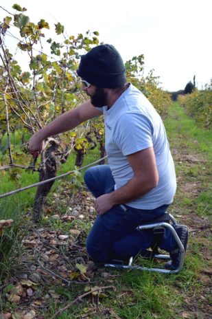 Pyrénées-Orientales
Les vignerons parlent aux vignerons
Le 22 novembre, au cœur des Pyrénées-Orientales, sur un territoire qui vit par et pour la vigne, le service santé-sécurité au travail de la MSA Grand Sud a donné la parole aux viticulteurs, les premiers concernés par les troubles musculo-squelettiques.

#Grand-Sud #Viticulteurs