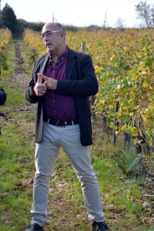 Pyrénées-Orientales
Les vignerons parlent aux vignerons
Le 22 novembre, au cœur des Pyrénées-Orientales, sur un territoire qui vit par et pour la vigne, le service santé-sécurité au travail de la MSA Grand Sud a donné la parole aux viticulteurs, les premiers concernés par les troubles musculo-squelettiques.

#Grand-Sud #Viticulteurs