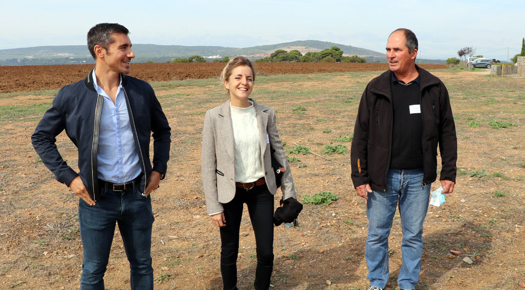 Prévention des TMS La méthode du Dr-Masson
Dans une entreprise de jardins et espaces verts, les visites médicales réalisées auprès d’un médecin du travail de la MSA Midi-Pyrénées Sud ont mis en évidence un besoin d’accompagnement en termes de prévention des troubles musculosquelettiques (TMS). En réponse, un dispositif innovant de prévention collective personnalisée a été proposé aux salariés l’année dernière. Il a permis la création d’un programme d’activités physiques sur mesure. #Santé #Sport #Travail