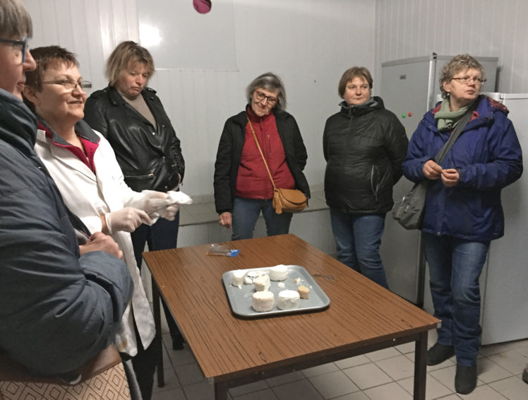 Dégustation de fromages après visite de la chèvrerie