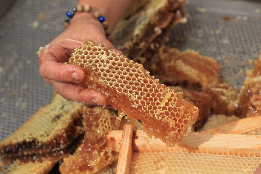 Miel cadre cire apiculture-Eric Tourneret