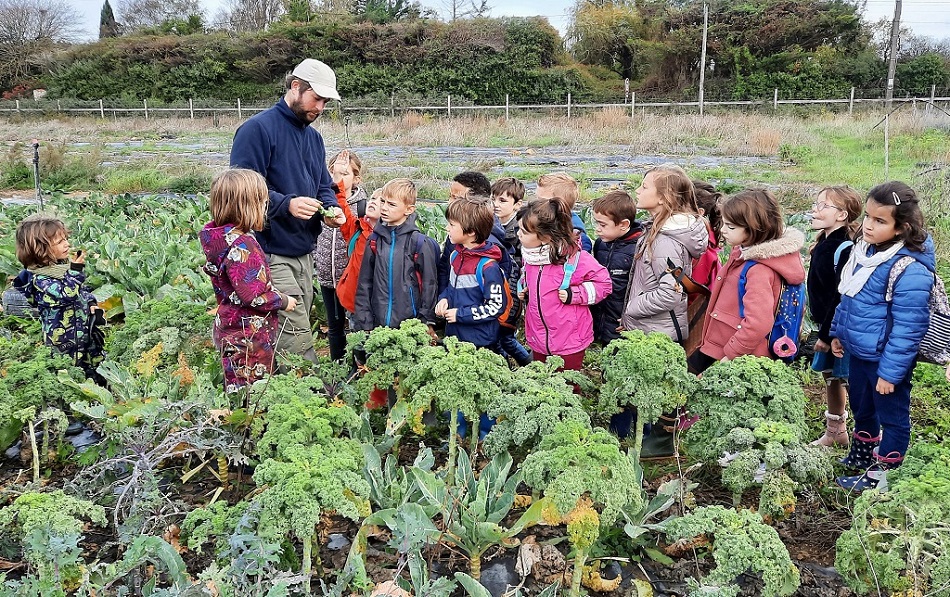 maraîcher bio La Jarne enfants legumes degustation choux nutrition