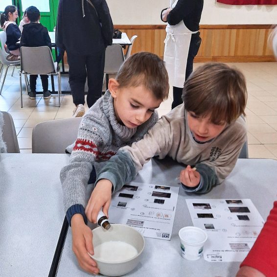 Fabrication fromage enfants